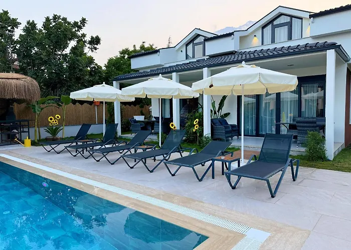 - Meta Homes -