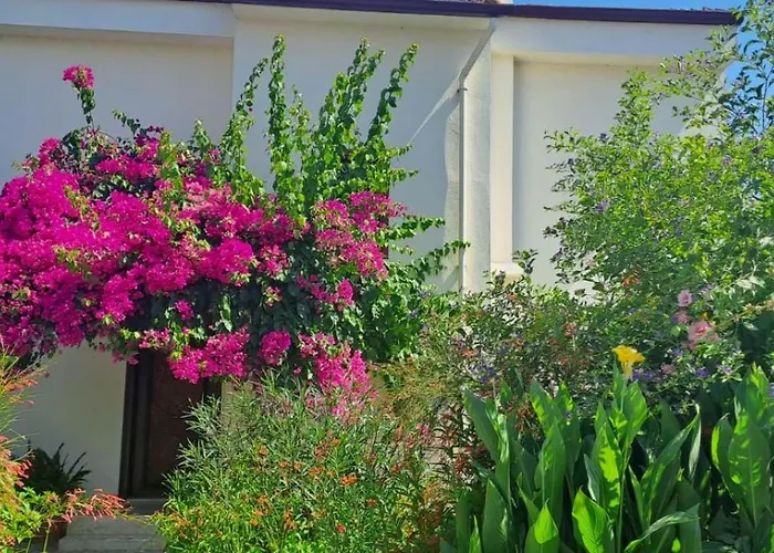Villa Calis