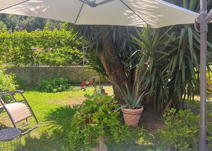 La Bouganville E Il Gelsomino
