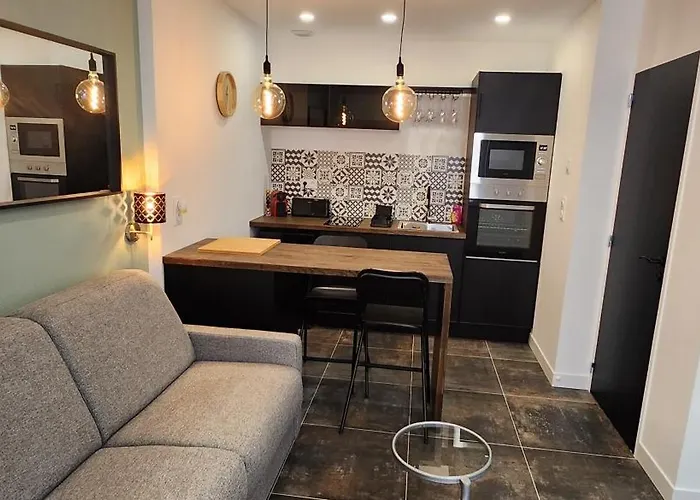 "Le Duo" Studio Cosy Au Coeur D'Epernay