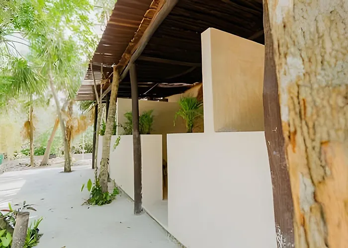 Nomadas- Estudios Bacalar