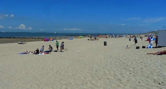 Strandparel 381