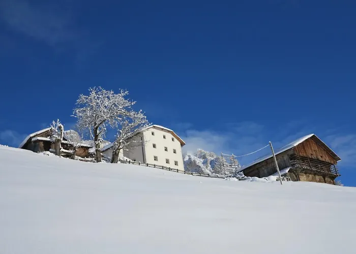 Larjei