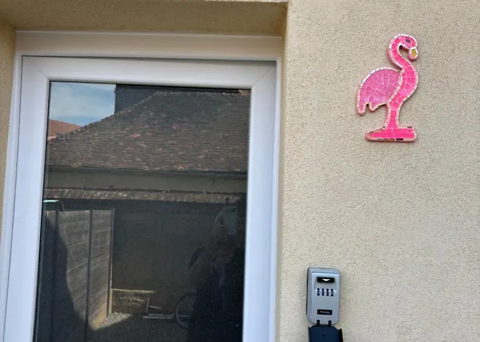 Maison Pink Flamingo Aeroport Tille 2 A 4 Personnes