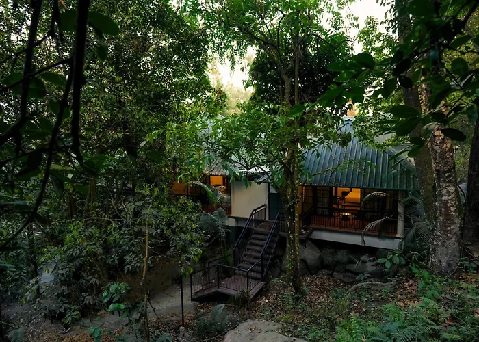 The Hive Wayanad