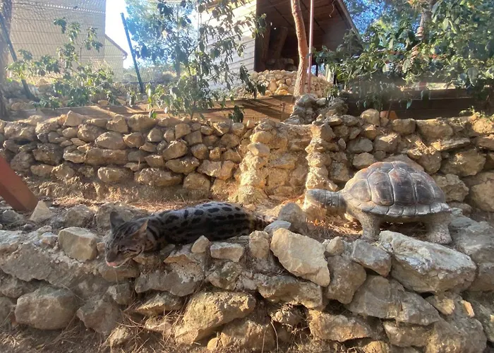 Les Jardins De L'Oustal