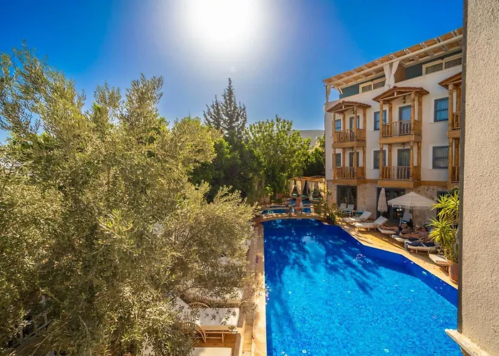 Elixir Hotel