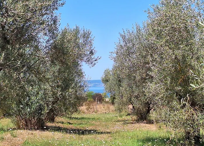 Terre Di Cornossa