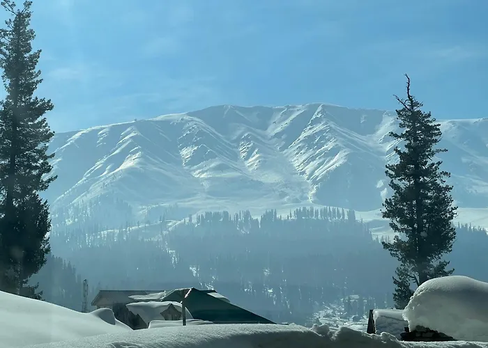 Pine View