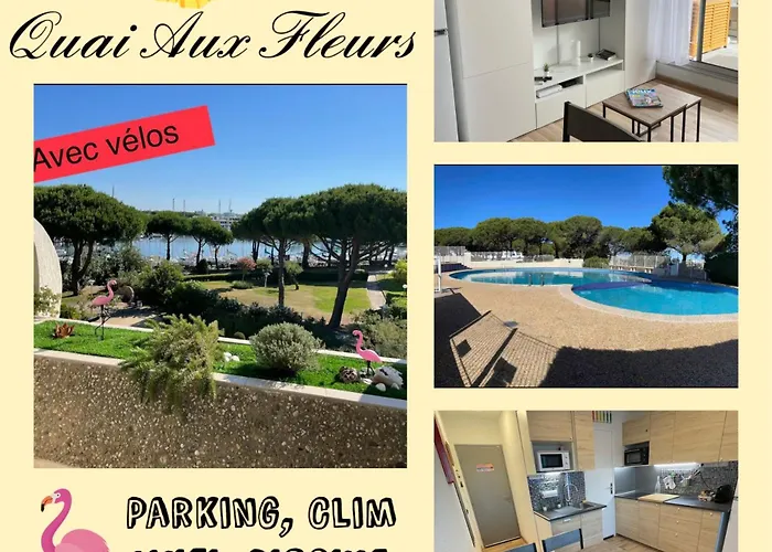 Studio Vue Port, Belle Terrasse, Piscine