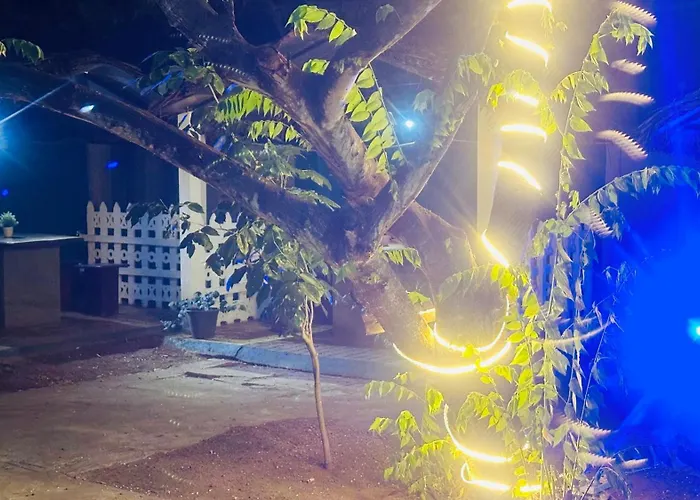 New Peacock Resort
