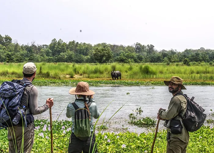 Hotel Flycatcher Chitwan- A Jungle Safari Home