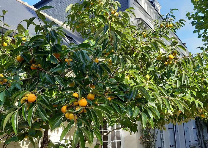 La Héraudière Bed&Breakfast