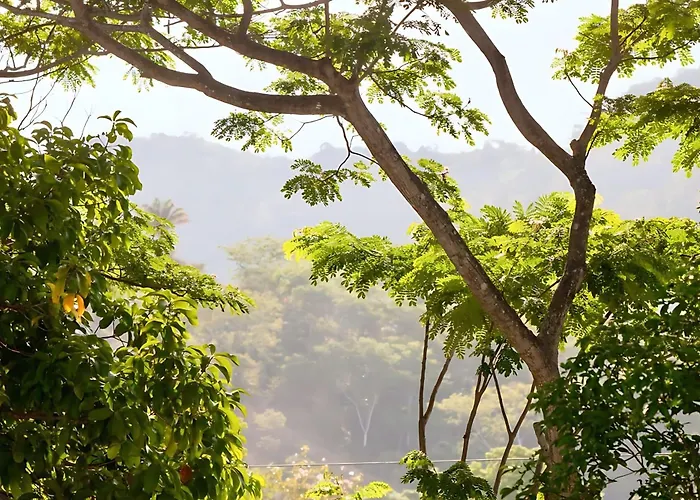 Modern 2Br Condo - Minutes From Jaco Beach - Prime Location
