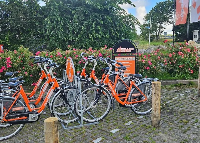 Casa Viva La Vida - Luxe Vakantiewoning In Het Hart Van De Bollenstreek En Dichtbij Strand, Meer, Duinen En Keukenhof
