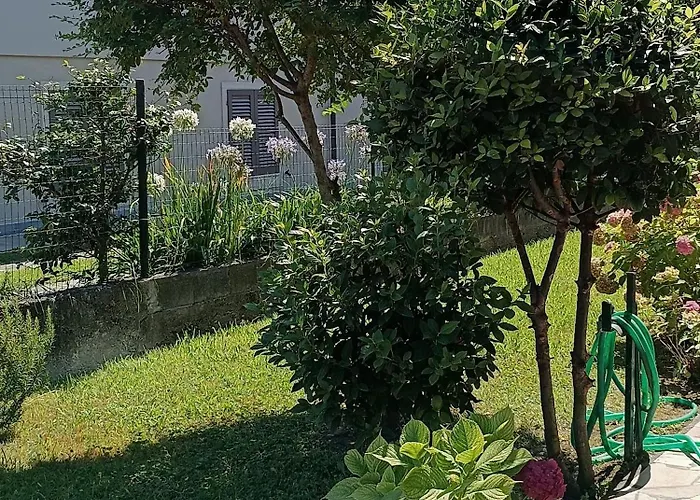 Il Nido