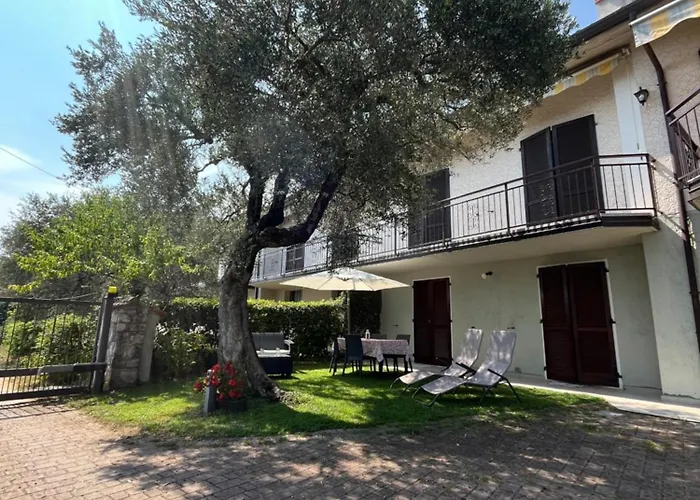 Relax In The Olive Grove