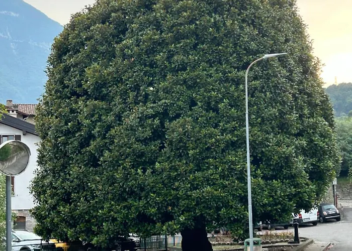 Akasa On Lake Como
