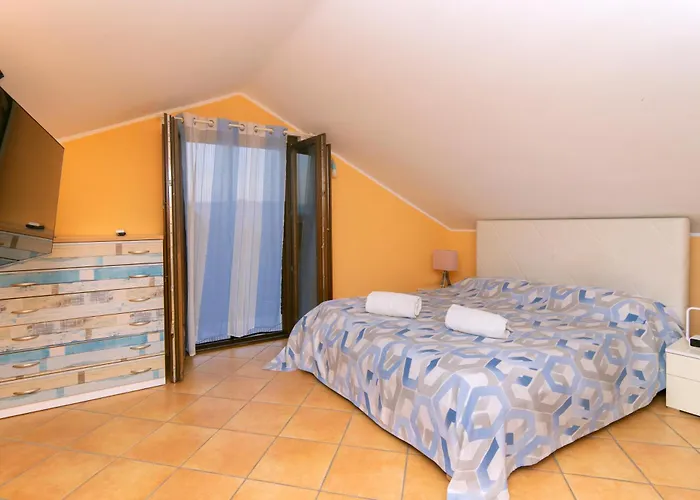 Dominella 3