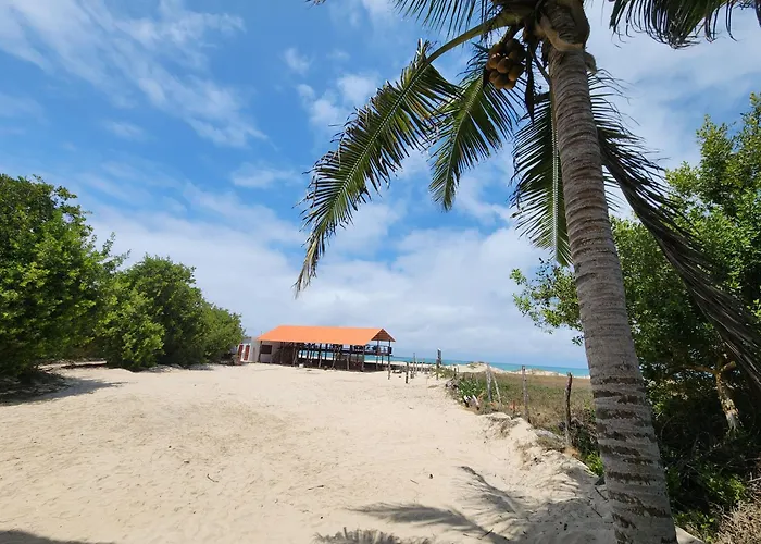 Hotel La Jungla