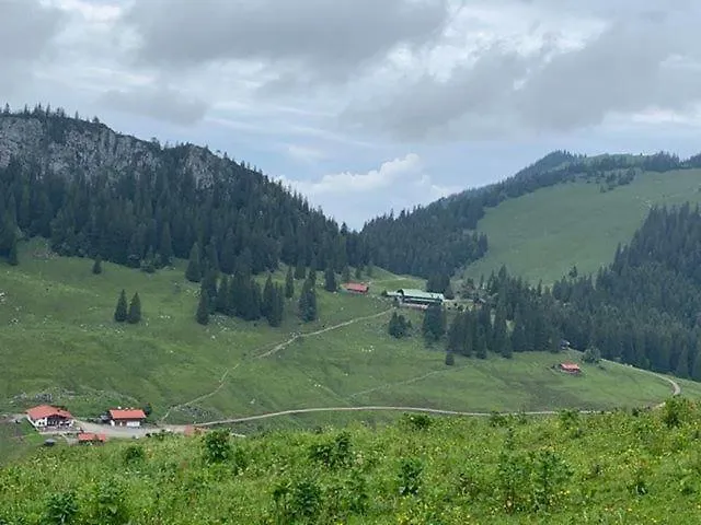 Untere Firstalm