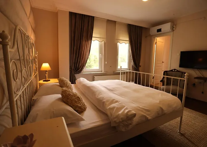 Villa Sapanca Butik Konukevi-Sari Ev
