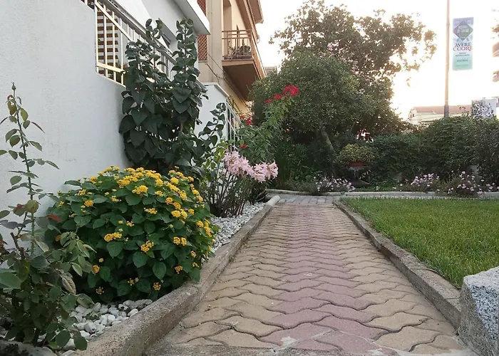 Doctor Guest House