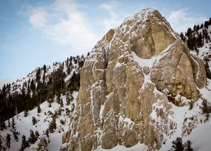 Mountainback 35