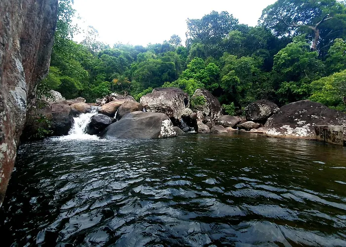 Forest Heaven Eco Resort