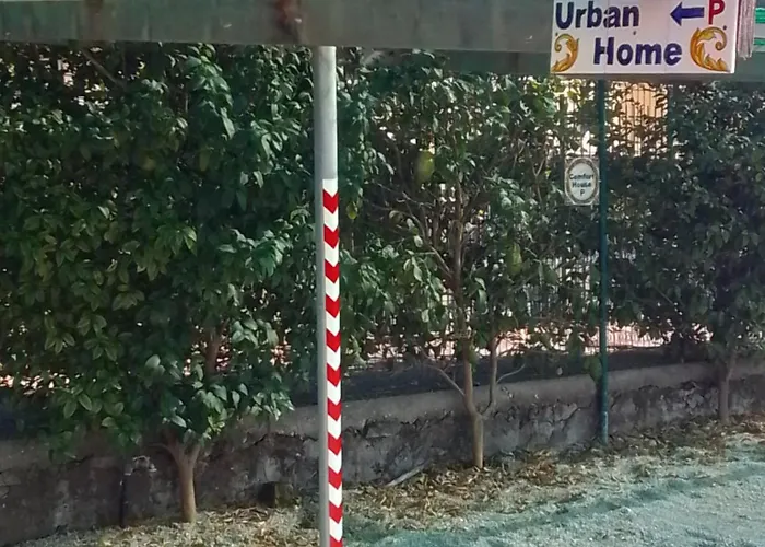 Urban Home