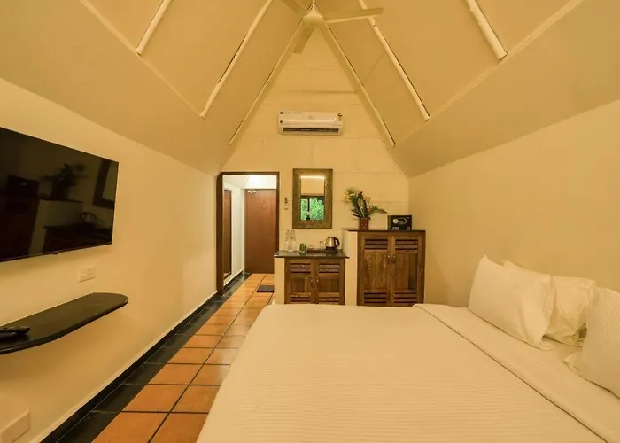 Mango Hill Auroville Pondicherry