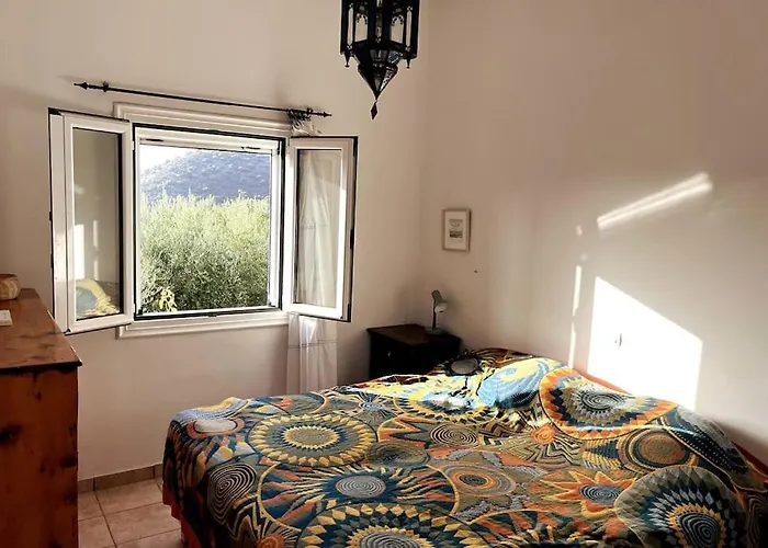Olive Grove Serenity Villa