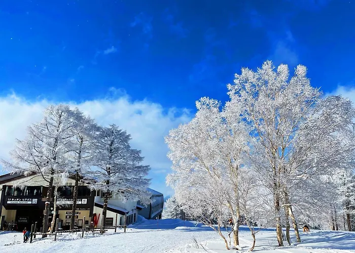 Nozawasnow - Vacation Stay 86362V