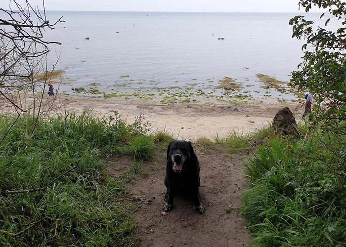 Ostsee-Schwaenchen II