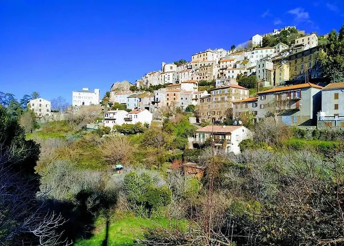 Villa Spacieuse A Saint-Florent Avec Piscine