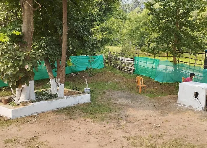 Palash Pahar Resort