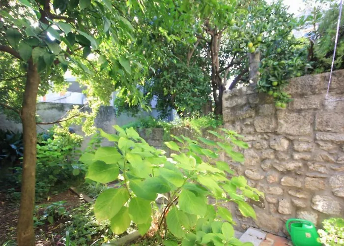 House Korta