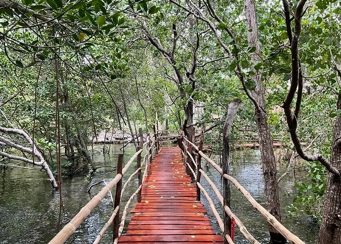 Kerusso Haven
