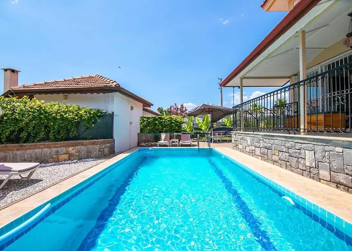 Villa Palm Tree