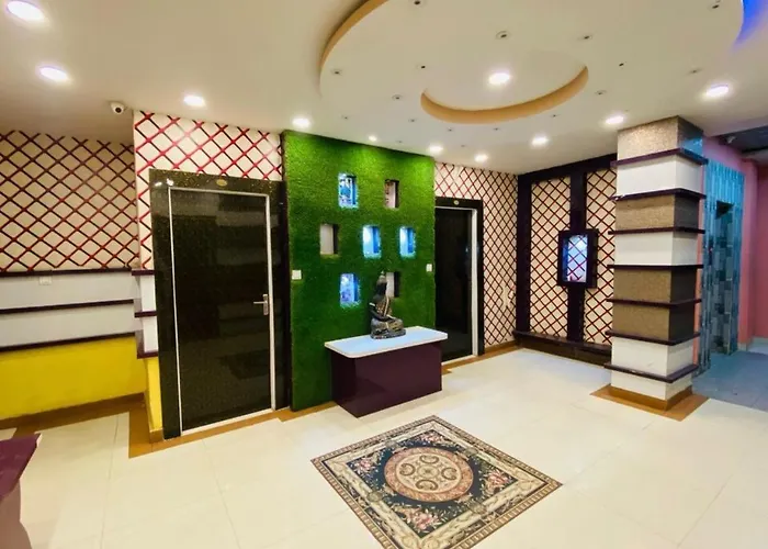 Hotel Basant Vihar International