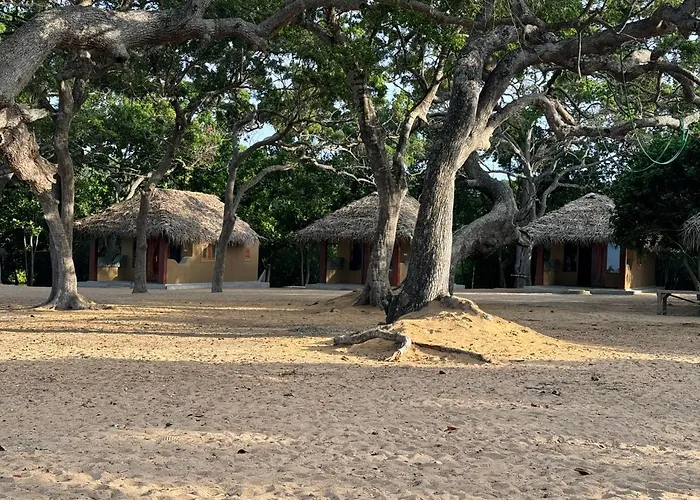 Peanut Farm Surf And Wild Resort - Arugambay