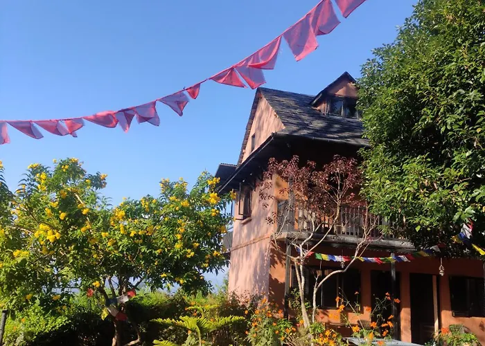Depche Village Resort