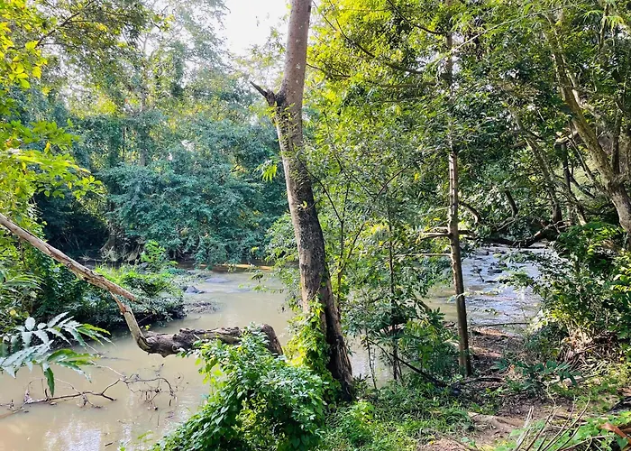 Yala Safari River View Hotel