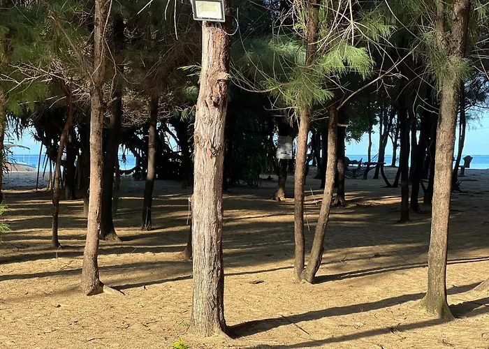 Silver Shine Beach Resort