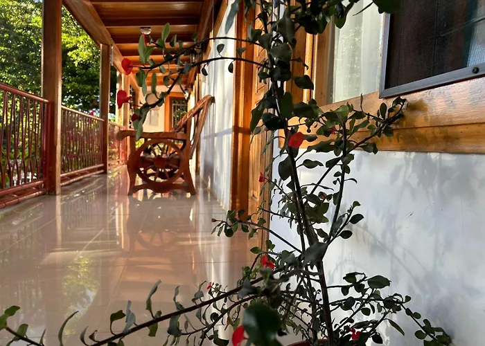 Hotel Javy