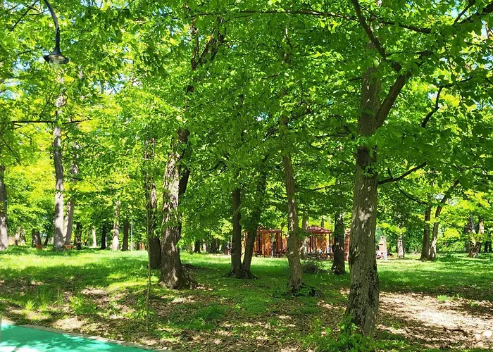 Hotel Elyon Dej
