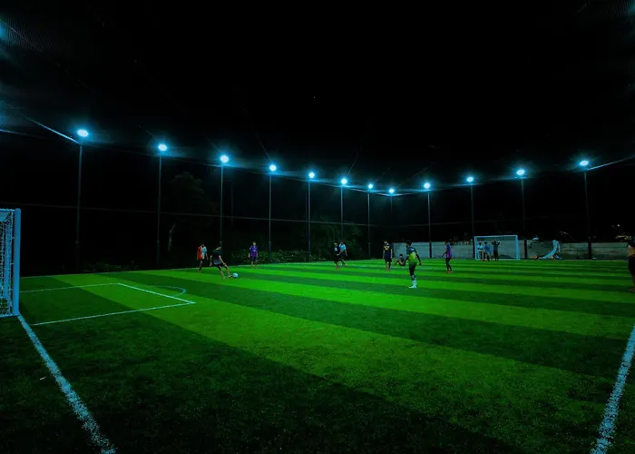 Beeza Clubhouse