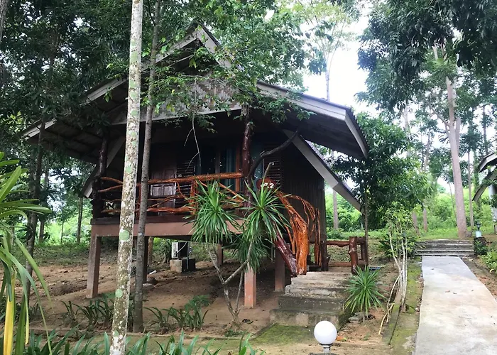 Activities Resort