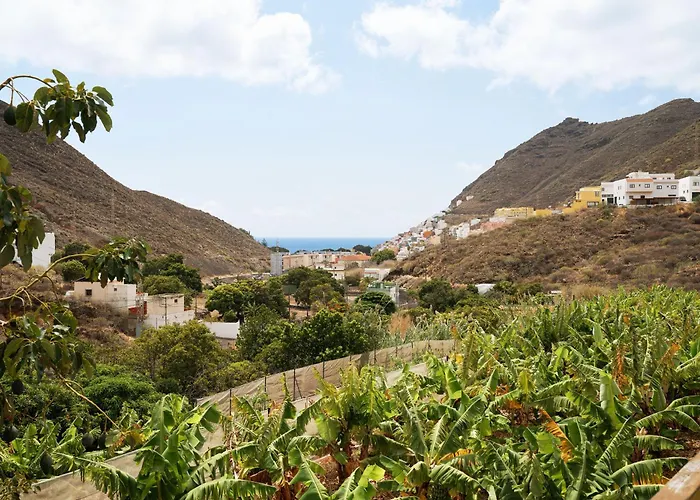 Finca Ecologica Quinta Los Tizones