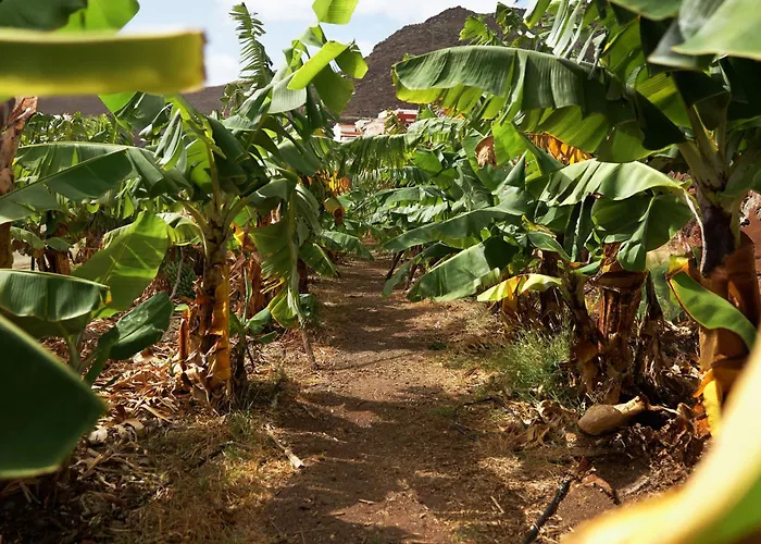 Finca Ecologica Quinta Los Tizones